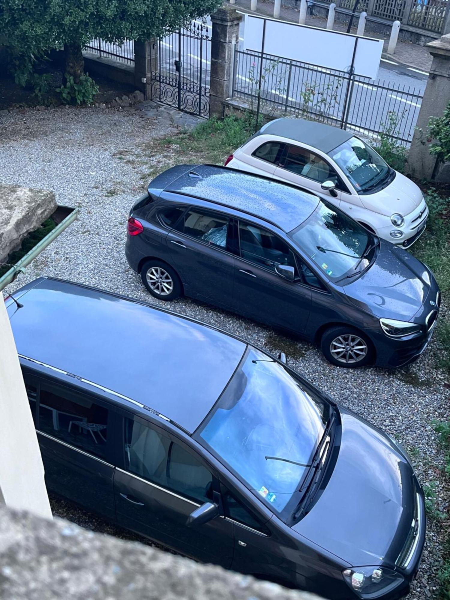 I Narcisi Fronte Lago Maggiore Germignaga Eksteriør billede