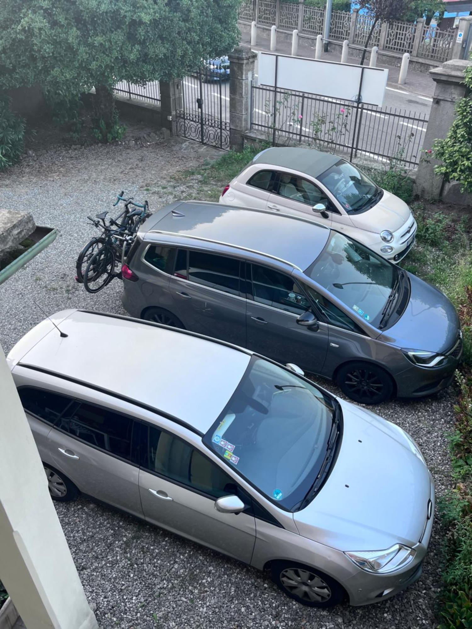 I Narcisi Fronte Lago Maggiore Germignaga Eksteriør billede